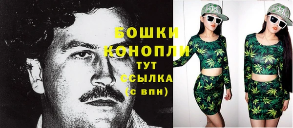 apvp Богданович